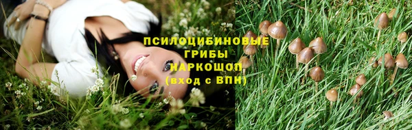 дурь Алексеевка