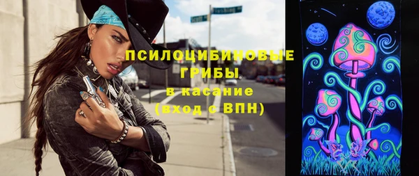 дурь Алексеевка
