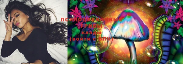 крисы Алексин