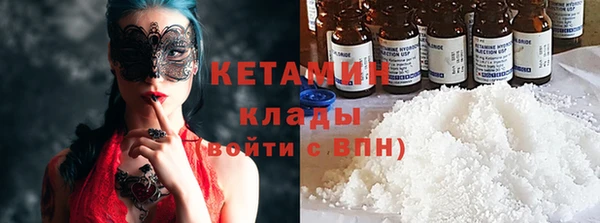 крисы Алексин